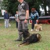 foire-haricots 2011-09-17et18